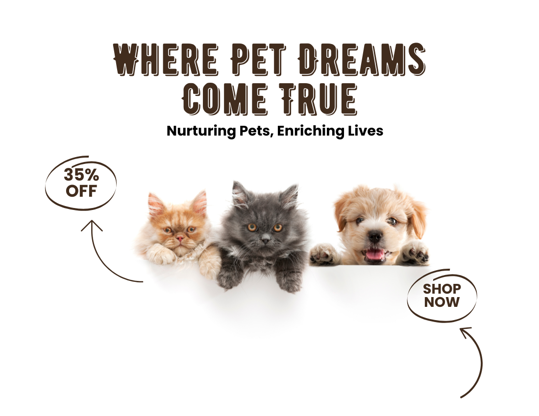 Nalain Trading: Delivering the Best Products in the UAE with Unmatched Quality and Value